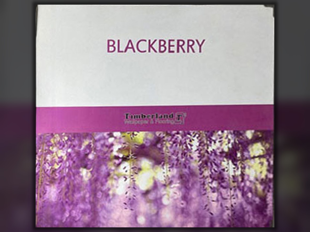 Blackberry
