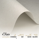 Extremewalls Reactor